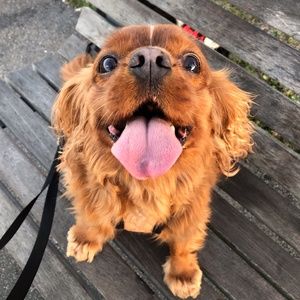 Meet your Posher, Christine